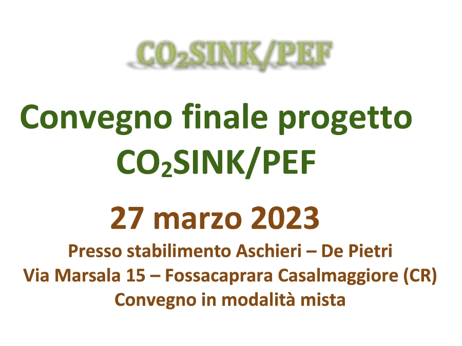 Convegno finale progetto CO2SINK/PEF